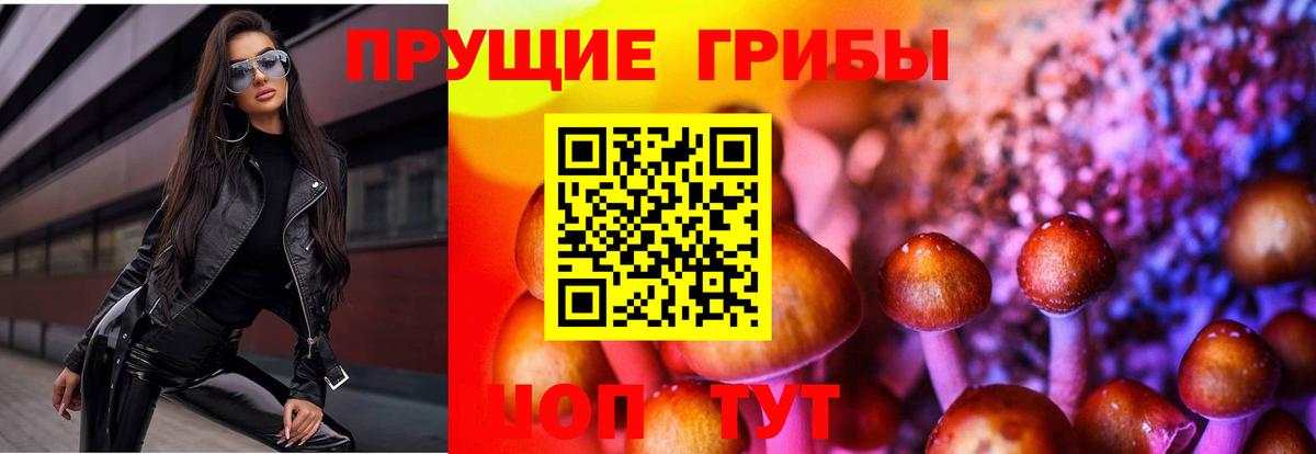 Псилоцибиновые грибы мухоморы Алейск