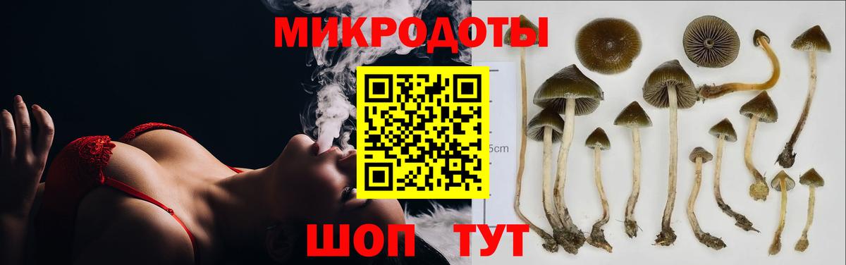 Галлюциногенные грибы ЛСД  Вход с VPN  Алейск 